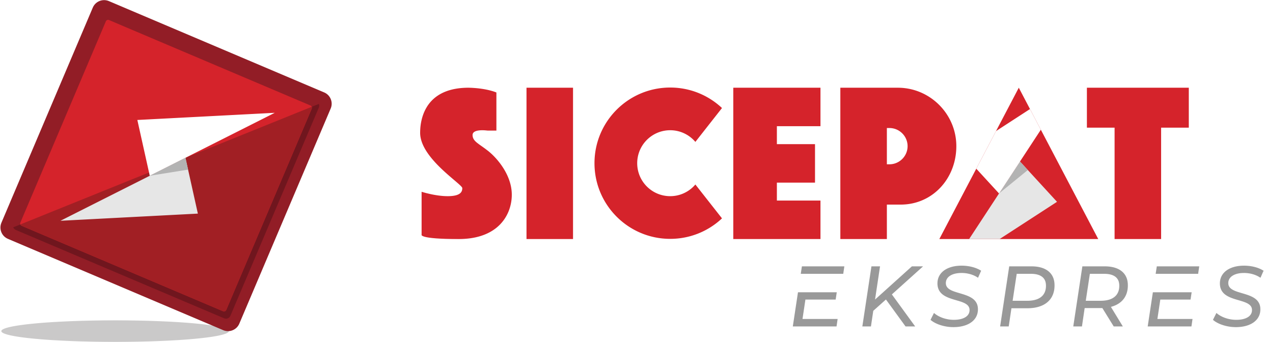 Partner Logo